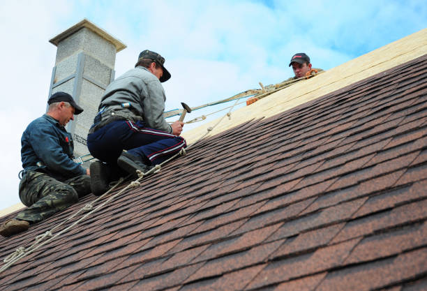 Best Roof Gutter Cleaning  in Norwich, NY